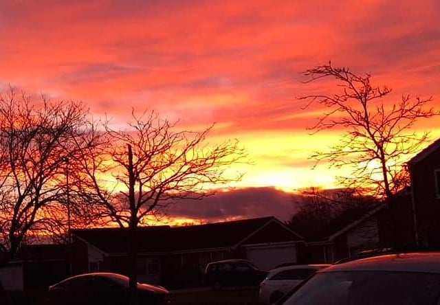 Bretton. Photo: Jane Wilson