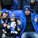 A new survey has rated how popular Peterborough United fans are with other League One fans.