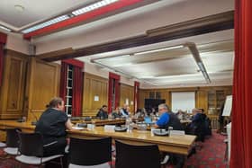 Stacie Coburn addresses Peterborough City Council councillors