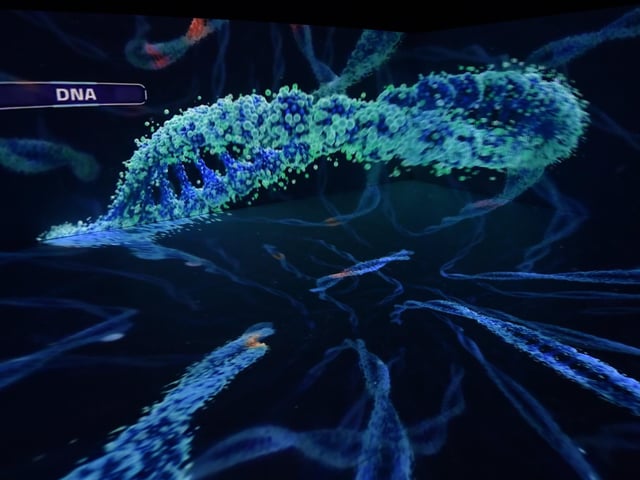 A giant sized view of DNA at the XRP eXtended Reality Peterborough centre at ARU Peterborough