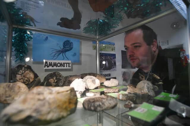 Fossils Galore at March with owner Jamie Jordan