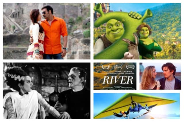 The Community Film Festival Fridays offerings