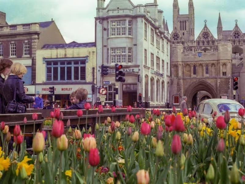 Cathedral Square in full bloom on a summer's day in the 1970s
