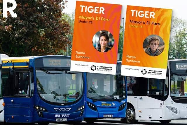 The Tiger bus pass is set to run until at least March.