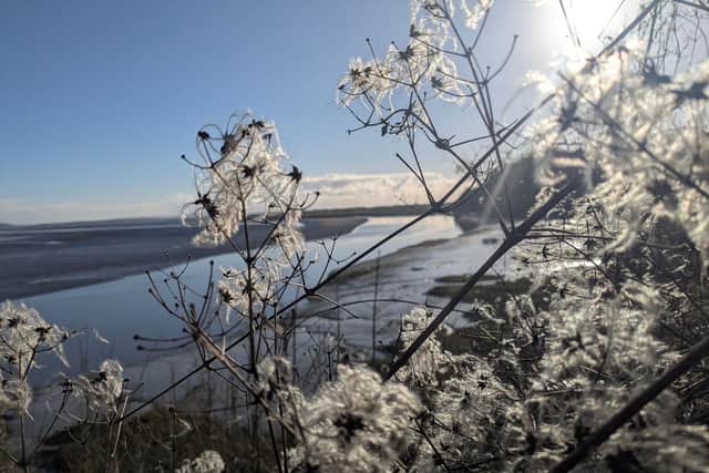 Frosty morning at Laugharne, beloved by Dylan Thomas