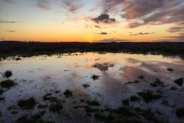The money will help fund an innovative farming project. Picture: Martin Parsons
