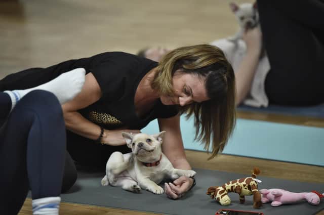 Puppy yoga at the Paw Studio in Westwood