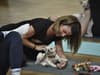 Paw-some fun at Puppy Yoga in Peterborough as puppies provide ‘non-stop laughter’ for dog lovers