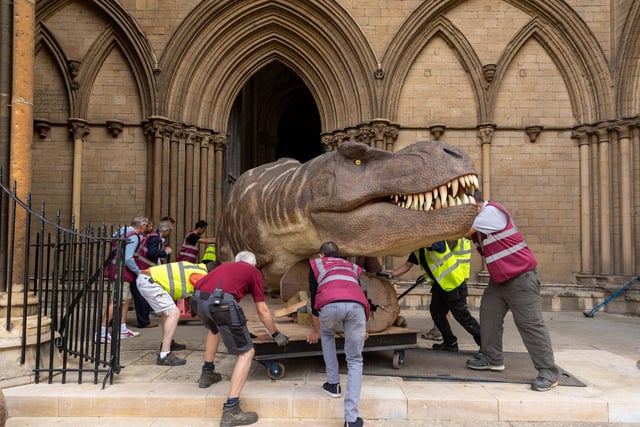 A team of people were needed to manoeuvre the dinosaurs into the cathdral
