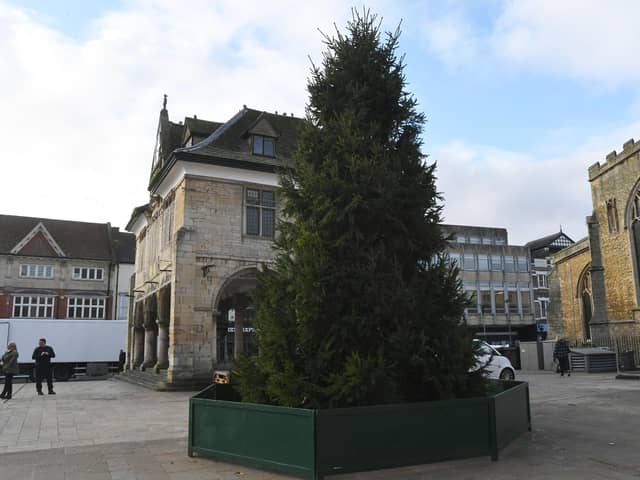 Peterborough's Christmas Tree in 2023.