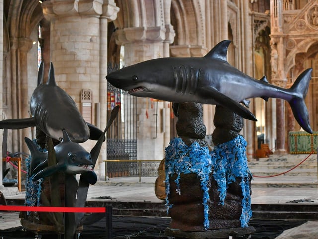 The exhibition closes on Sunday