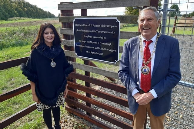 Thorney Festival - The Mayor and Mayoress unveiled the plaque commemorating the planting of the Queen Elizabeth II Platinum Jubilee Hedgerow.