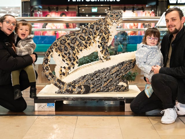 Queensgate brings Animal Paradise to Peterborough
