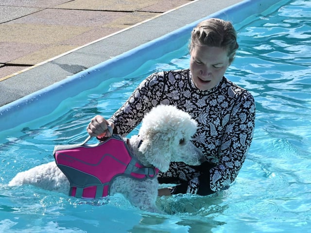Dog swimming session at Peterborough Lido