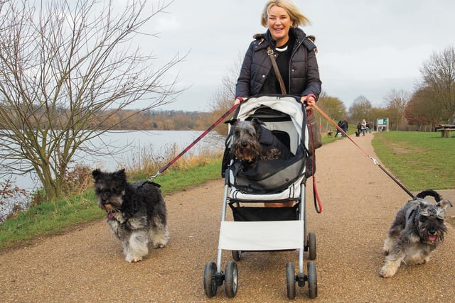 The pictures capture dog walkers at Ferry Meadows