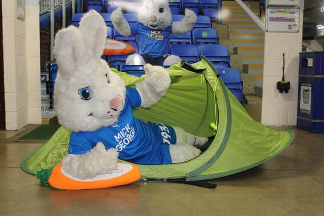 Posh mascot Peter Burrow getting ready for the Big Sleep Out.