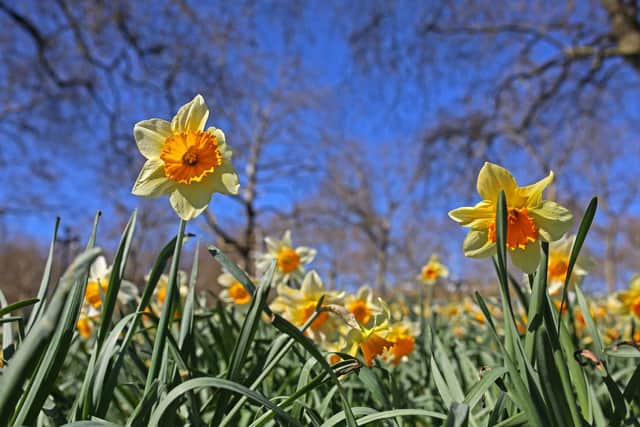 Wednesday was the warmest day of the year so far, and marked the hottest day recorded in the first half of April for 80 years