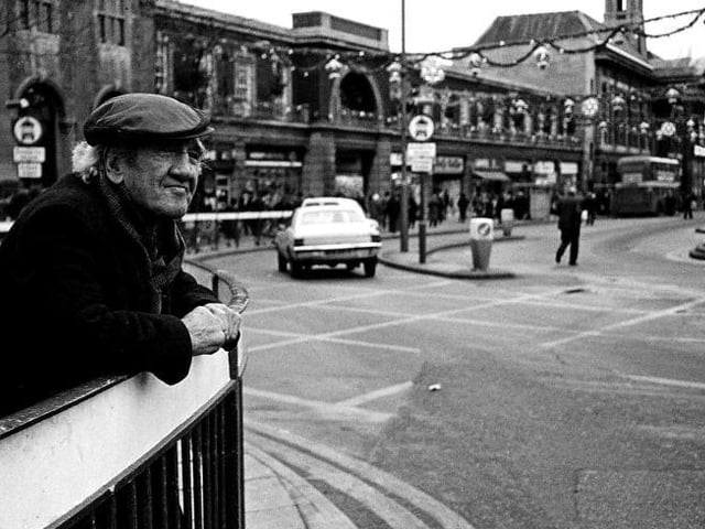 Taking it all in. Do you recognise this fine fellow?