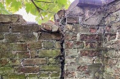 There were concerns the trees are damaging the property's wall