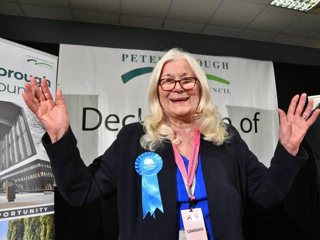 Lynne Ayres, one of the few Conservative winners at last week's count
