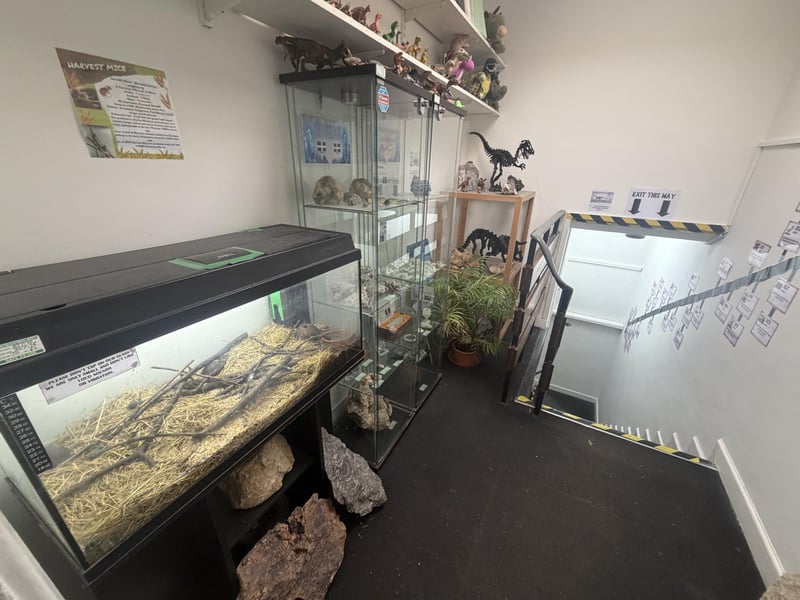 The museum is run by Jamie Jordan and his partner, Sarah