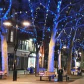 Bridge Street trees have been lit up in yellow and blue