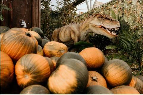 Open from now until October 31. Time slots must be booked with general admission £6.95. Sensory friendly bookings available.