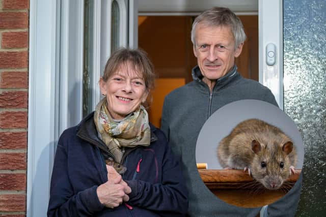 Caroline Davis, and husband Malcolm, with Ratty the pet rat - who she says saved her life.