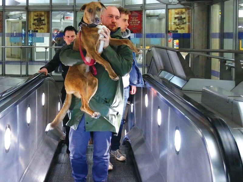 Life on the tube - this time at Westminster - is a vital part of London