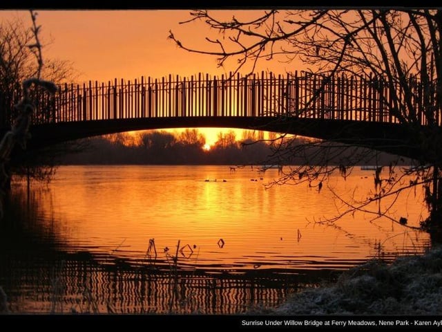 Willow Bridge Ferry Meadows