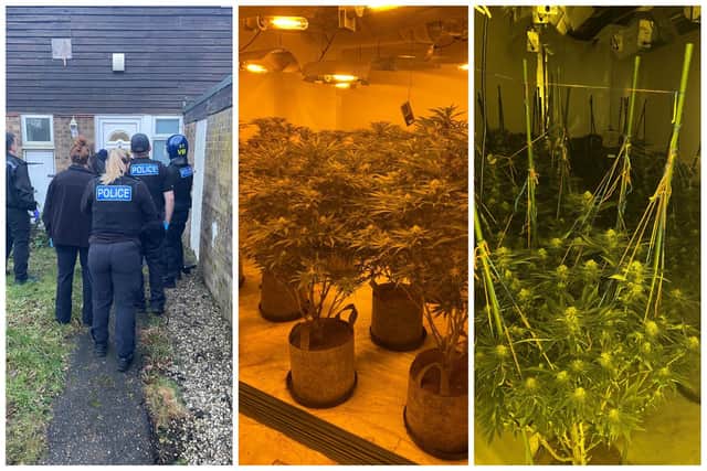 Police carrying out the raid on the home, and drugs found in the property