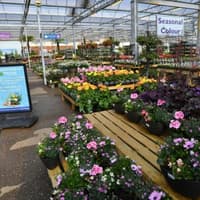 Clothing retailer opens new store at Peterborough garden centre creating six jobs