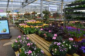 The Waterside Garden Centre in Baston near Peterborough