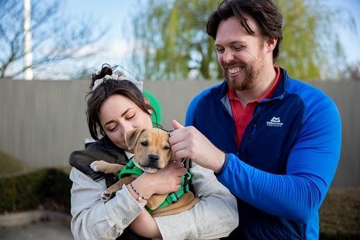 Peanut with new owners found on The Dog House