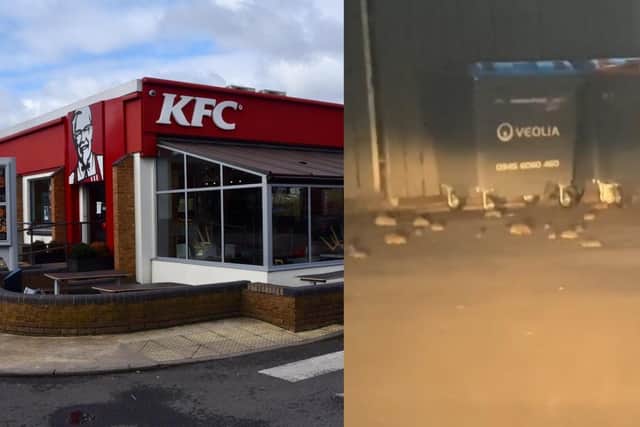 Footage showing dozens of rats were filmed in the car park at KFC, London Road, in Peterborough.