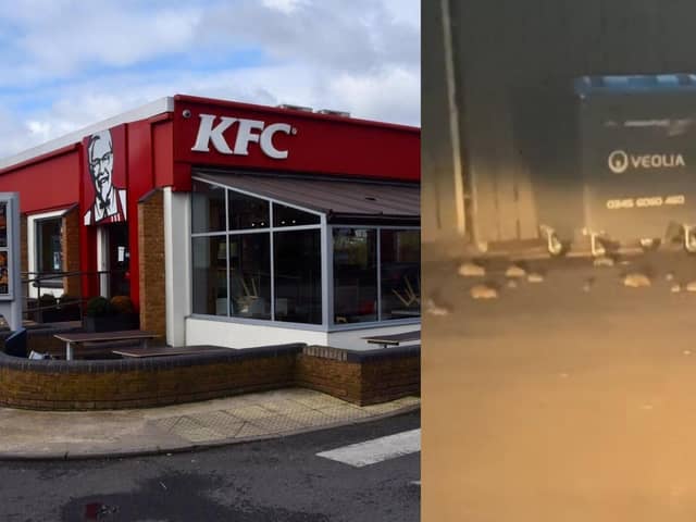 Footage showing dozens of rats were filmed in the car park at KFC, London Road, in Peterborough.