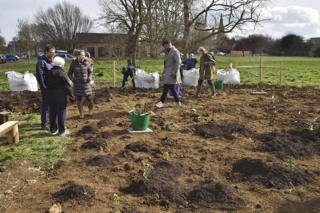 Volunteers  planting trees at a Tiny Forest at Hallfields Lane, Paston