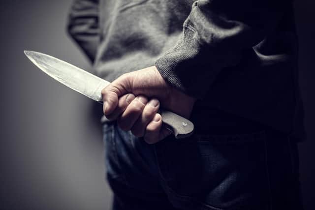 The report says 'serious offences involving a sharp/bladed weapon increased by more than 12% and there was an increase in hospital admissions for assaults involving a sharp object in 2025/26"