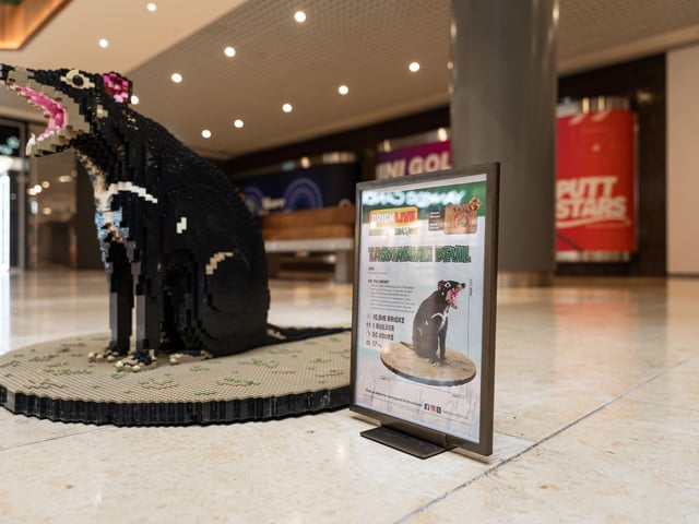 Queensgate brings Animal Paradise to Peterborough
