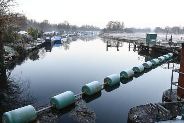 Freezing weather is forecast later this week