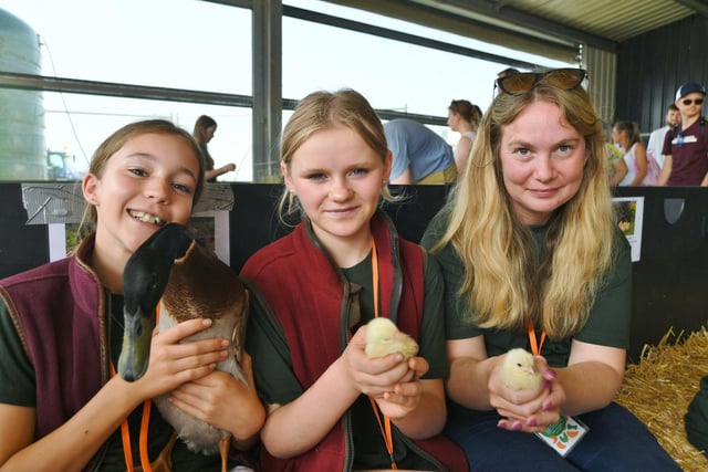 Lucy Saddler, Emma-Jayne Willis and Sadie Richmond in the poultry pen