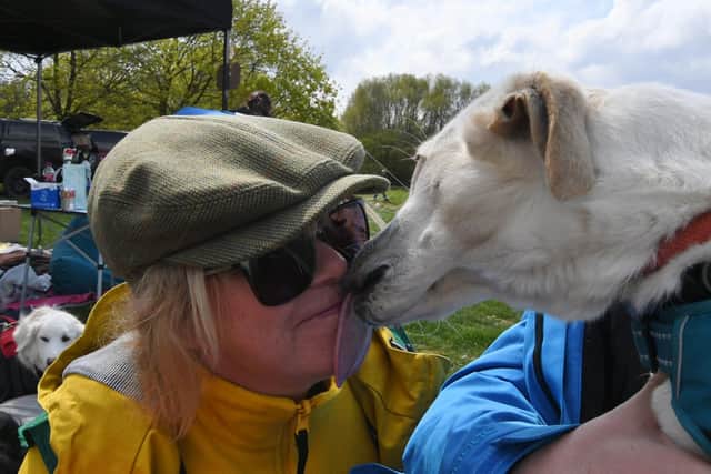 Nene Park dog show organised by Saving Saints Rescue.  Tracey Turnbull with rescue dog Lycha