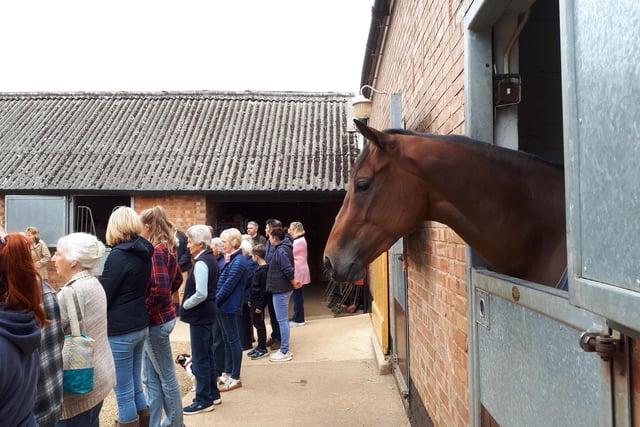 Open Day at Pam Sly's horse racing stables