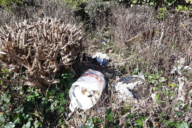 Litter is frequently dumped on road verges in North ward