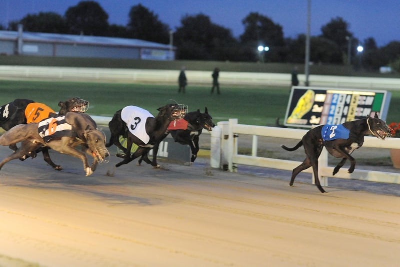 HIYA BUTT (t2 rails) leads early from Ginas Blue (t6) in heat of the William Hill Peterborough Derby 1st Round. 9th August, 2017.