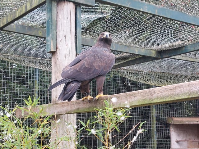 The refuge is home to many birds, including Golden Eagles
