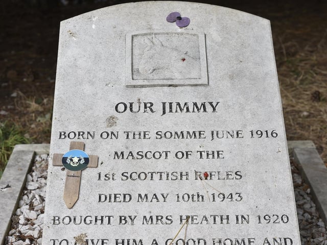 Where can you find this tribute to Jimmy?