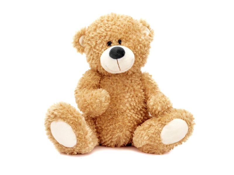 A perfect teddy is still at the top of many people's lists - and a Build a Bear workshop would be welcomed by many