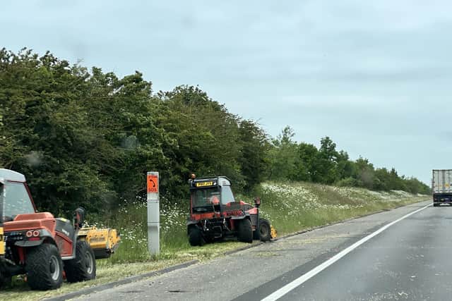 The verges are cut back by National Highways. Pic: Joel Ashton
