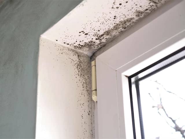 Damp and mould can lead to coughs and colds and worsen more serious respiratory conditions such as asthma